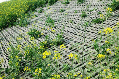 植草磚的厚度標(biāo)準(zhǔn) 植草磚的厚度標(biāo)準(zhǔn)